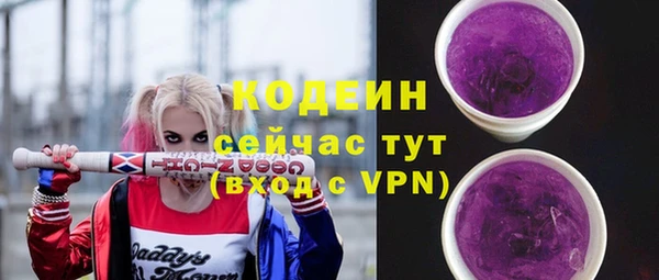 СК Новодвинск