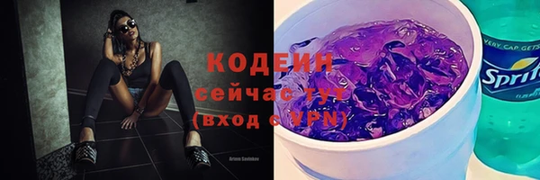 СК Новодвинск