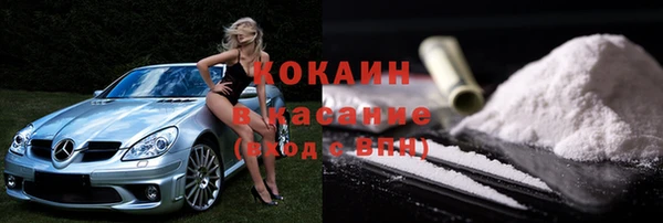 СК Новодвинск