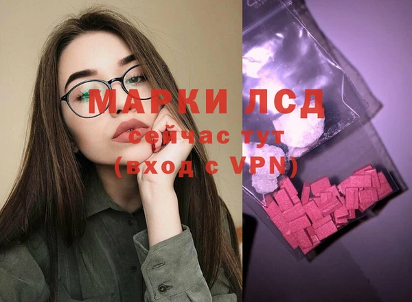 СК Новодвинск