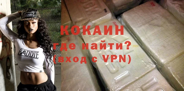 СК Новодвинск