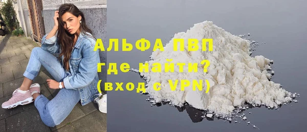 СК Новодвинск