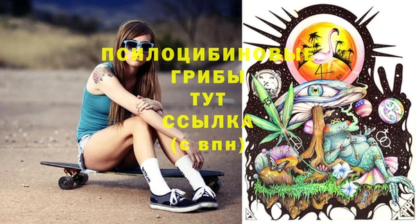 марки nbome Новозыбков
