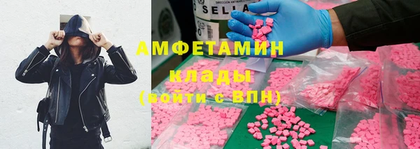 СК Новодвинск