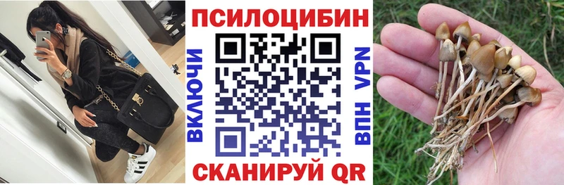 МЕГА   Тбилисская  Галлюциногенные грибы мицелий 