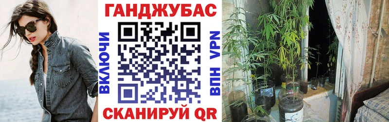Канабис сатива kraken рабочий сайт Тбилисская